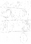 c073.gif