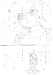 c074.gif