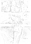 c075.gif