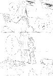 c077.gif