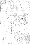 c078.gif