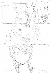c080.gif