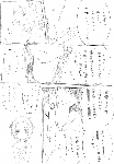c081.gif