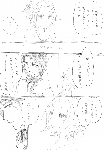 c082.gif