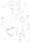 c085.gif