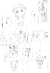 c087.gif
