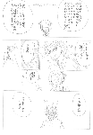 c088.gif