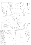 c089.gif