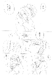 c092.gif