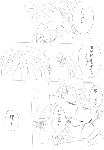 c093.gif