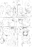 c095.gif