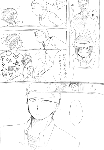 c099.gif