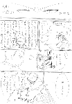b10a30ad.gif