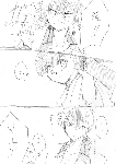 c110.gif