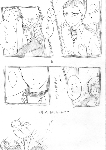 c113.gif