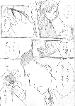 c114.gif