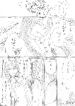c116.gif