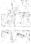 c122.gif
