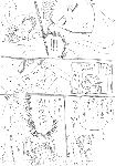 c123.gif