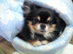 CA390084001.JPG