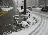 2008013101.jpg