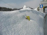 2008022201.jpg