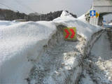 2008022202.jpg