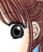 髪の毛