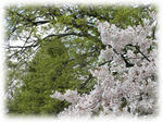 d55c330f.jpg