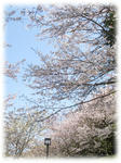 38f97783.jpg