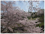 e12900a7.jpg
