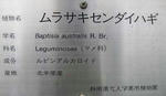 f2e9d227.jpg