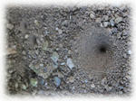 949c277c.jpg