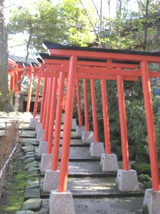 torii.jpg