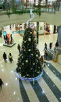 クリスマスツリー