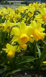 200804021203000.jpg