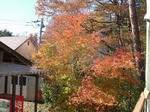 DSCF0592.JPG