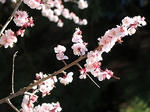 090331-03.jpg