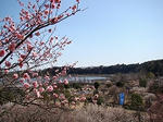 090331-05.jpg