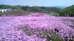 2009042910410001.jpg