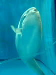 773f5e9d.jpg
