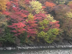 2009101715420001.jpg