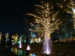 DSC02355.JPG