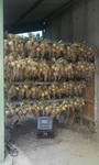 20080607140634.jpg