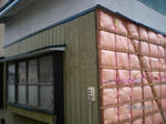 SANY0367.jpg