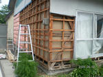 SANY0369.jpg