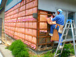SANY0372.jpg