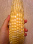 DVC00102.jpg