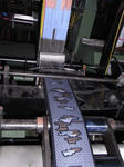 RIMG0223.jpg