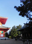 RIMG0372.jpg